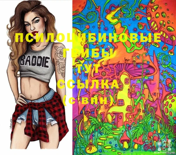 Альфа ПВП Баксан